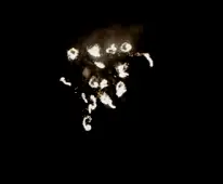 Whirl and spinner effect